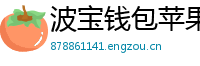 波宝钱包苹果版安装教程
